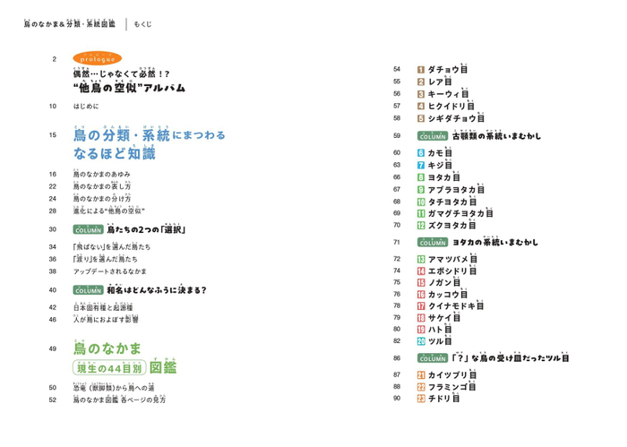 『鳥のなかま＆分類・系統図鑑』もくじ①