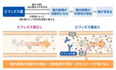 イラスト8