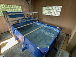 木古庭揚水ポンプ所養殖設備