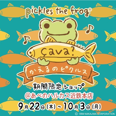キービジュアル　çava?