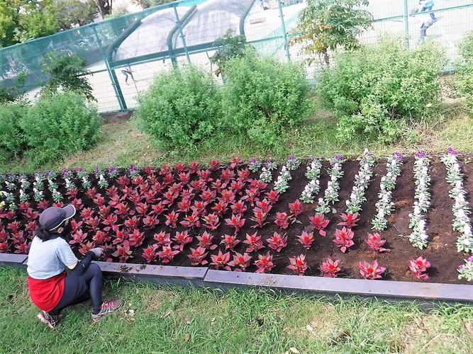 これは何のデザインなのか・・・⁉