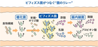 イメージ(4)