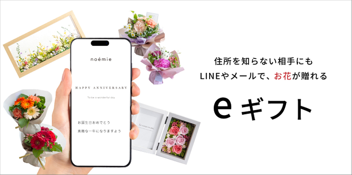 noemie × AnyGift