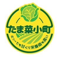 ＭＥＸ商事株式会社