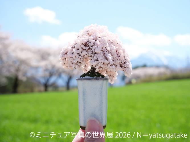 展示作品：N＝yatsugatake(2)