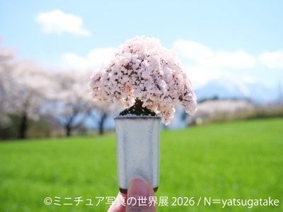 展示作品:N=yatsugatake(2)