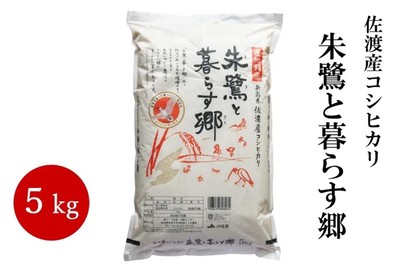 佐渡産コシヒカリ