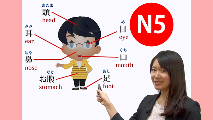 日本語能力試験(JLPT)対応