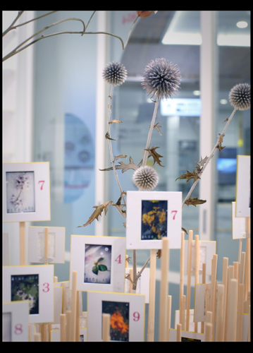 全てにナンバリングされている京都の草花