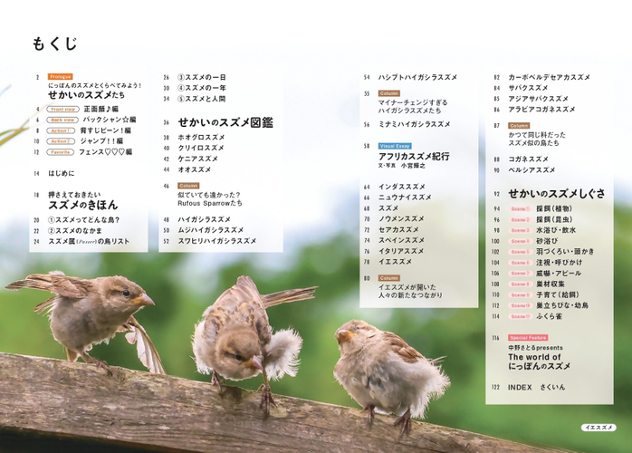 『せかいのスズメ』もくじ