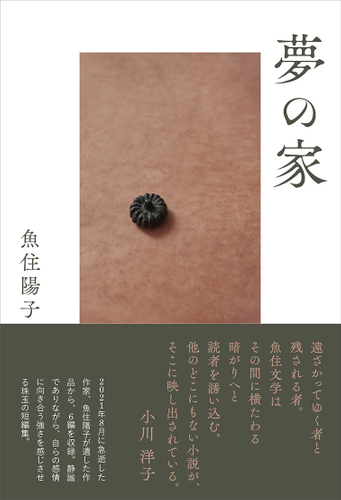 『夢の家』 駒草出版 定価1,980円(税込)/四六判/268頁/ISBN 978-4-909646-55-2/2022年6月発売
