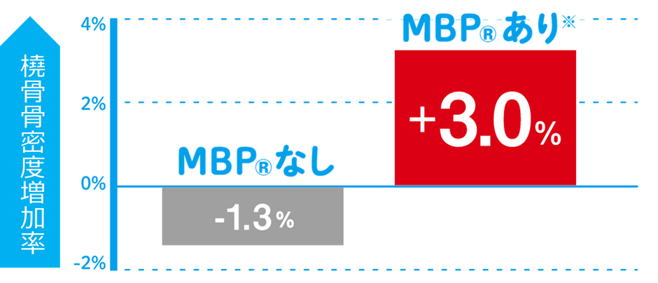 MBP🄬40㎎の6カ月間継続摂取で 橈骨（とうこつ）の骨密度が平均3％UP