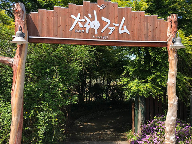 桜も4月下旬まで愉しめる