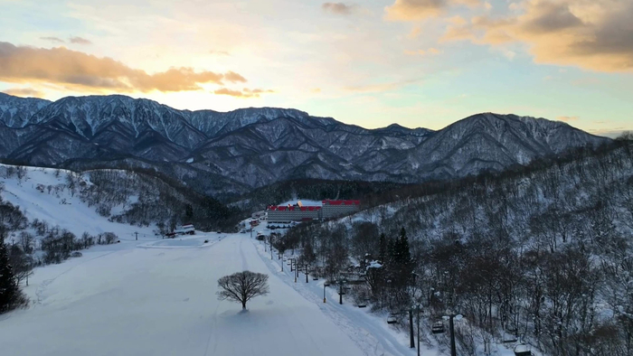 朝日に照らされる池の田ゲレンデ。白馬が誇る美しい冬の景色。