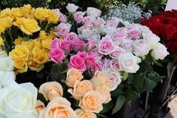 バラの切花の販売の様子(令和7年撮影)