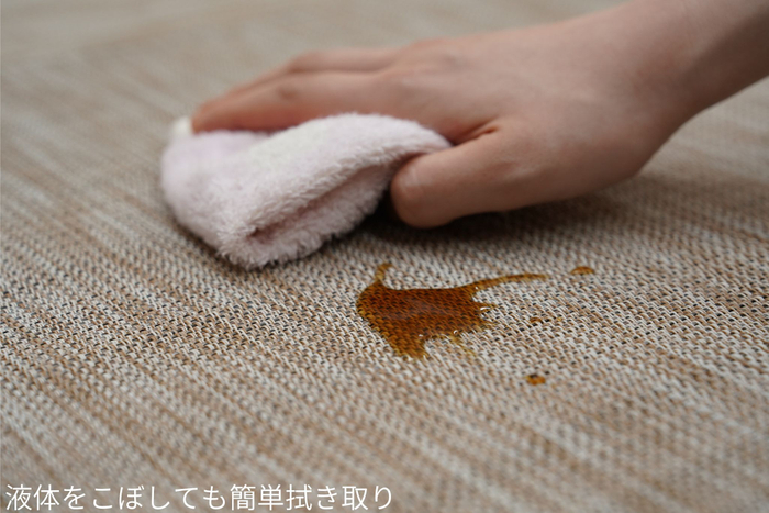 ネオタタミメンテナンス(拭き取り)