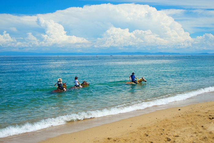マリンライド体験の様子