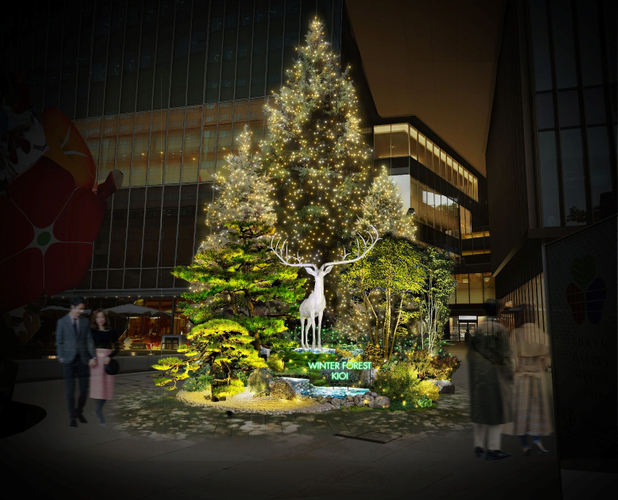 KIOI WINTER FOREST(夜イメージ)