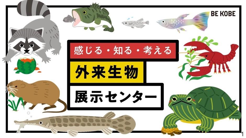 神戸市環境局自然環境課外来生物