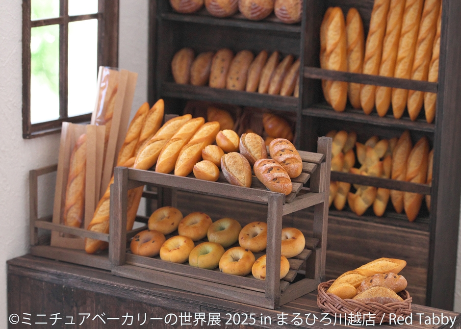 展示作品:Red Tabby(2)