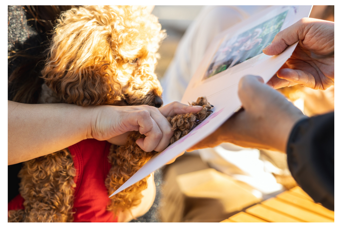 愛犬　肉球スタンプ