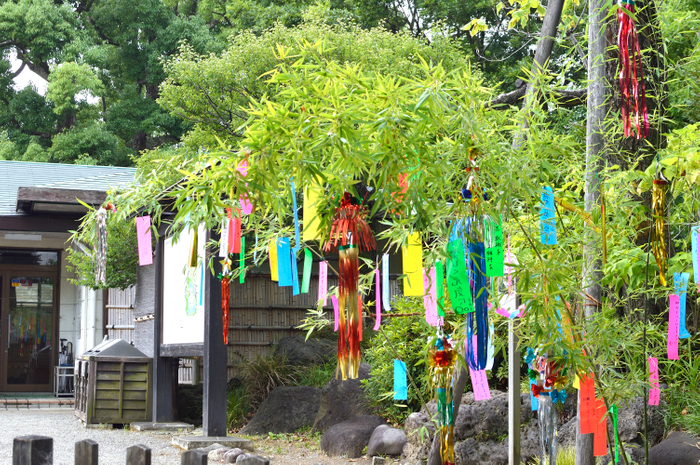 過去開催の様子（清澄庭園）