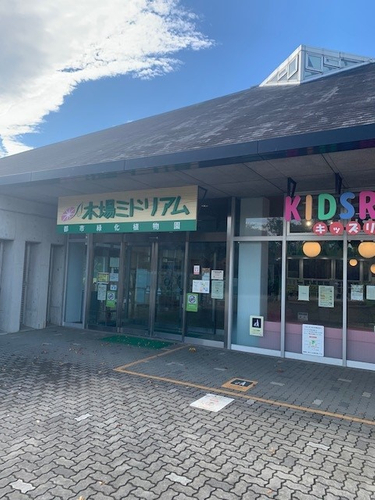 木場ミドリアム