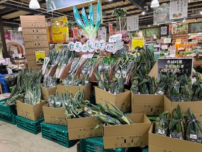 ねぎ！ねぎ！ねぎ！下仁田ねぎ！下仁田ねぎ直売会