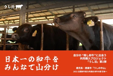 「日本一の和牛」をみんなで山分け！生産者も消費者もうれしい、新たな共同購入プロジェクト「うし活」始動