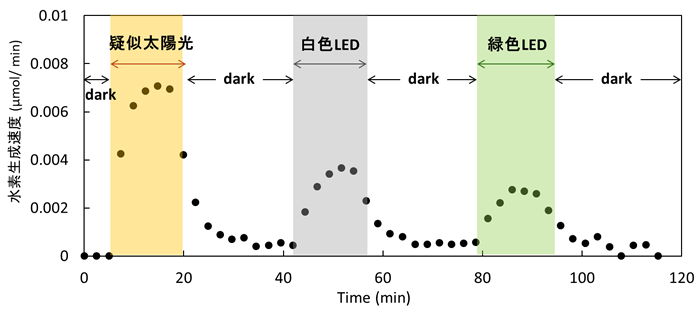 図4　層状水素化シリカンの水素放出特性（疑似太陽光、白色LED、緑色LEDを用いて照射。照射面積は0.2cm2）