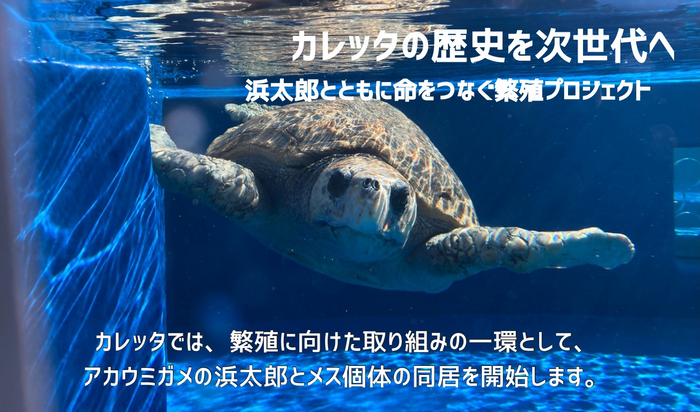 プロジェクト画像