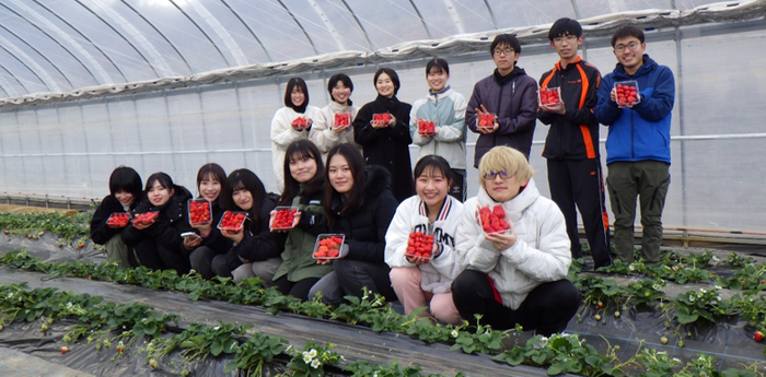 いちごの病害について学んでいる農学部生