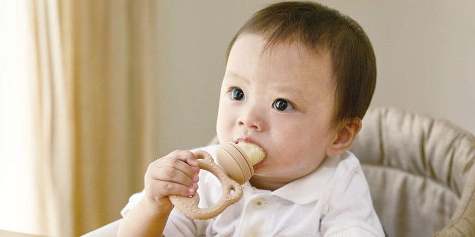 もぐかみBaby くまちゃん