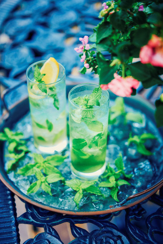 名物「布引モヒート」