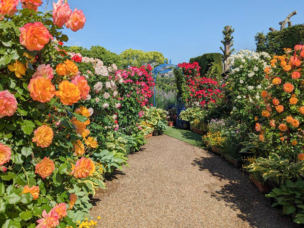 ※画像は過去の様子です