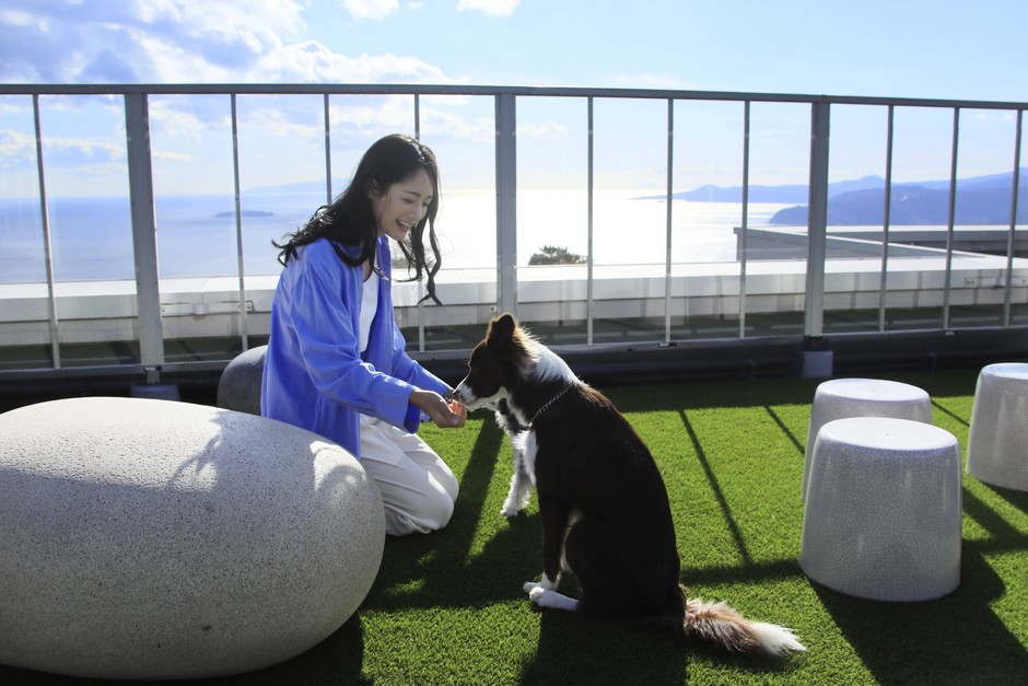 ルーフトップドッグラン(ゆるり熱海with DOGS)