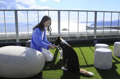 ルーフトップドッグラン(ゆるり熱海with DOGS)