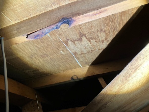 【画像4】銅板谷樋の穴開きにより屋根裏へ雨水浸入し、断熱材へ雨水が滞留しているようす(2)