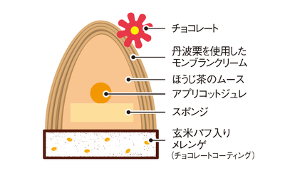 ほうじ茶／断面図