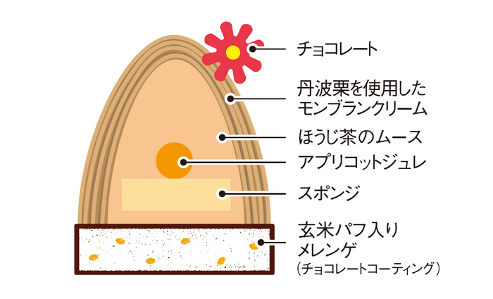 ほうじ茶／断面図