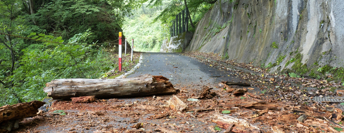 倒木や土砂崩れで道がふさがっている場合