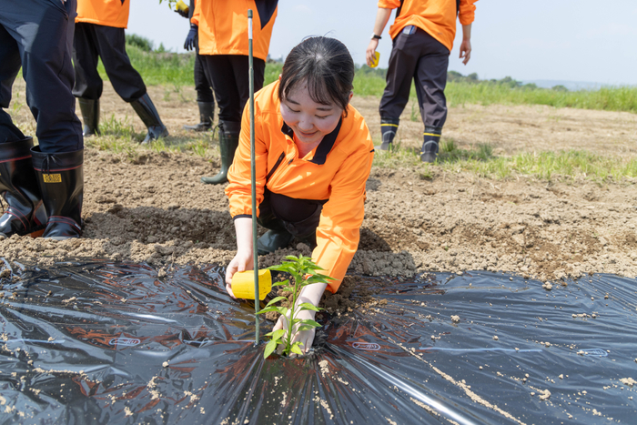 夏に向けて成長が楽しみです