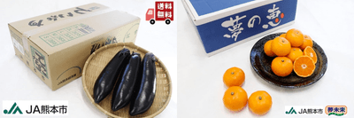 (右)早生みかん「夢の恵」(左)「肥後のでこなす」
