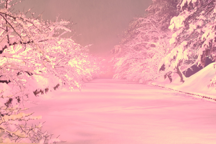 冬に咲くさくらライトアップ