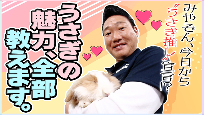 うさぎの魅力、全部教えます。