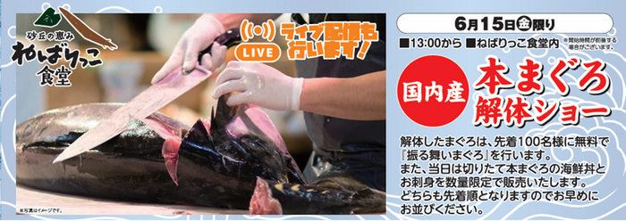 本マグロの解体ショー