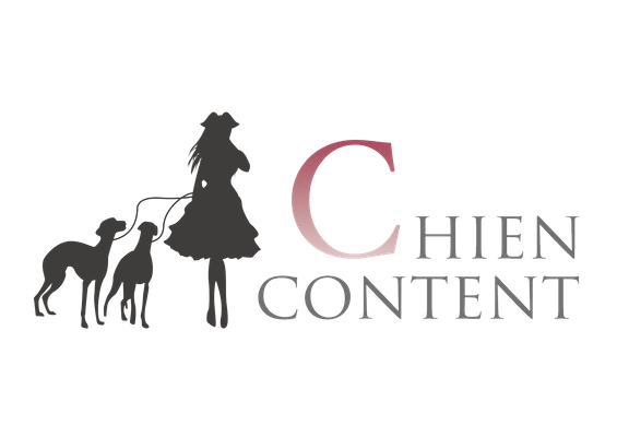 Chien content