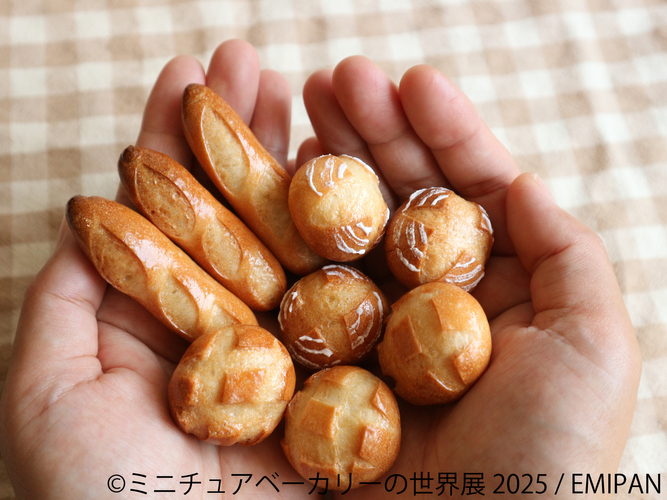 展示作品：EMIPAN