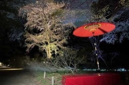 フォトスポット（イメージ）