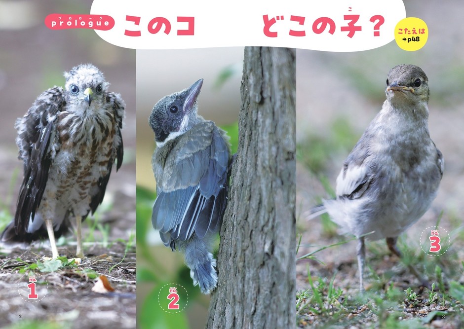 ◆プロローグ このコどこの子?
